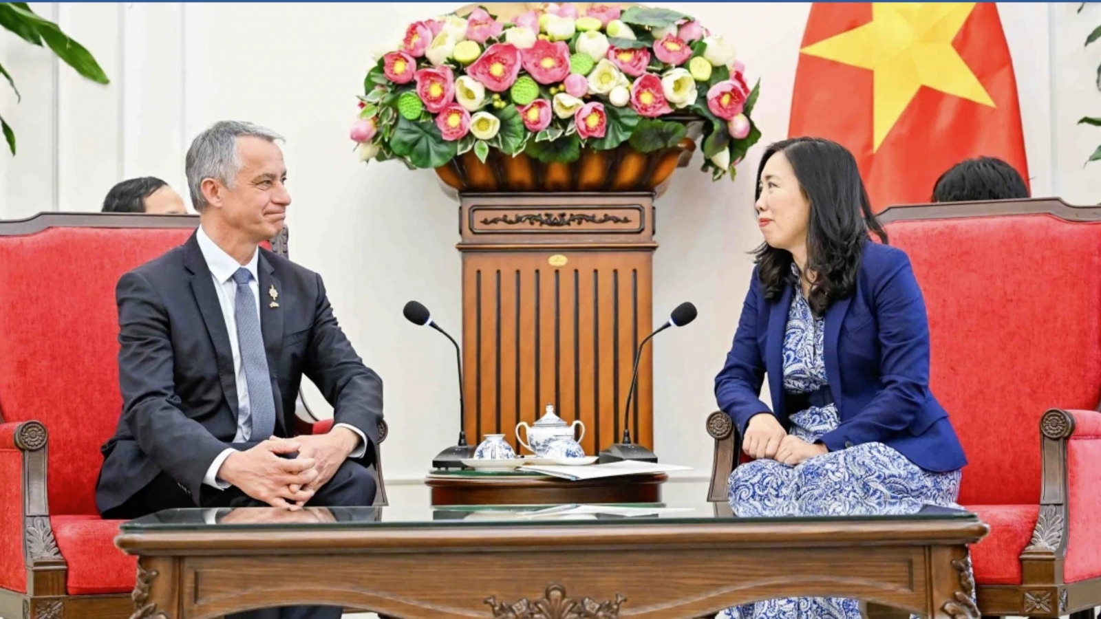 Vietnam places importance on cooperation with France, says Deputy FM